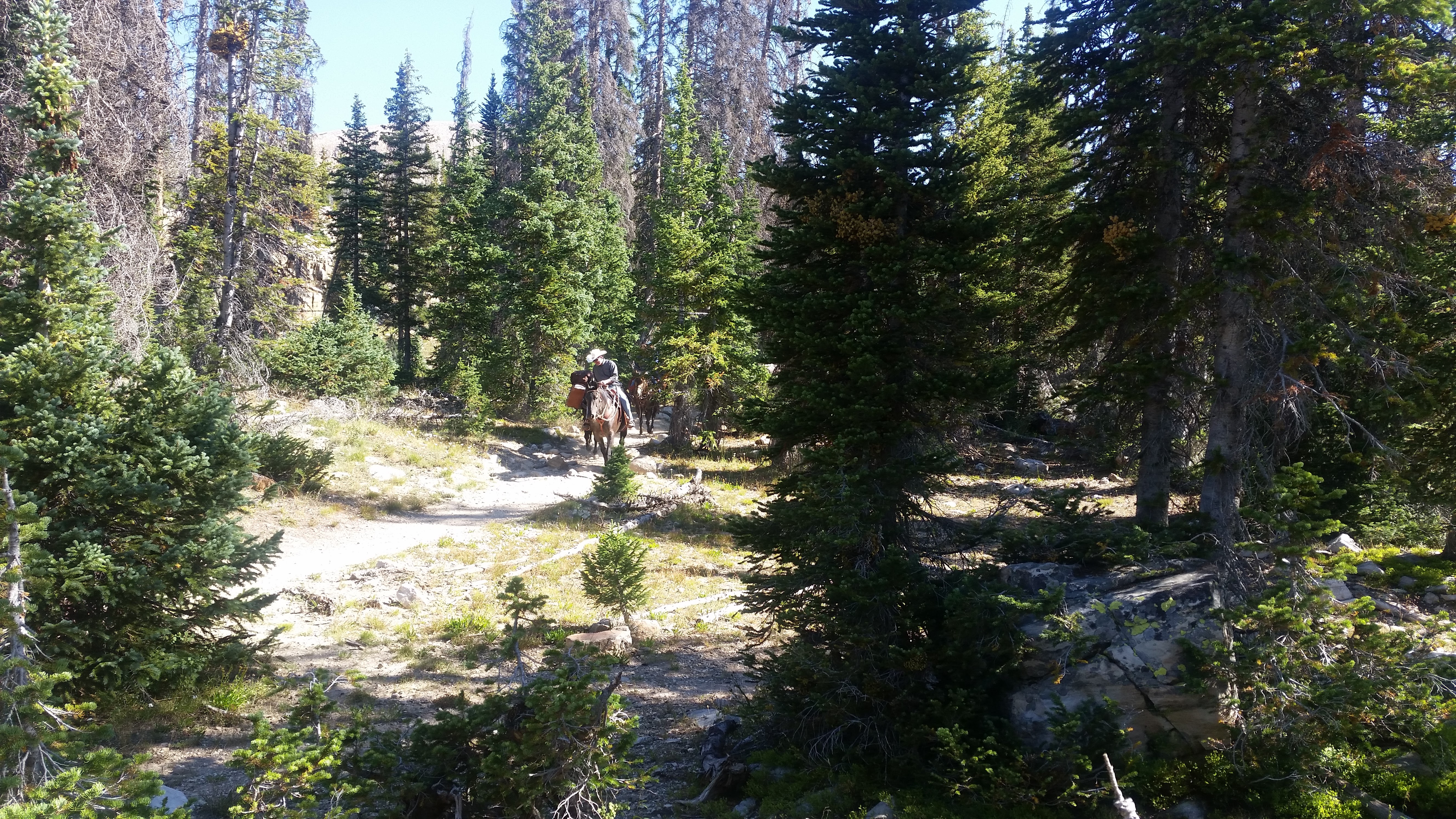 Snowbird – Utah · 2016